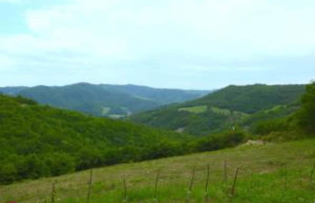 Holiday Home in Belforte With Pool - Foto 27