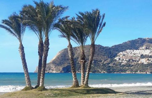 White Bay Beach Apartment - Foto 46