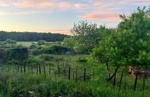 Oasis Fontmarie - appartement en pleine nature - Foto 22