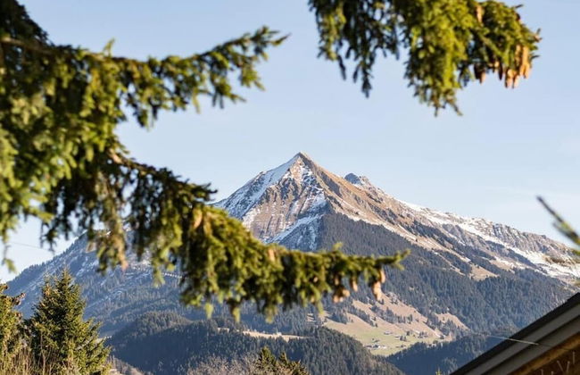 La petite Silène - Foto 27