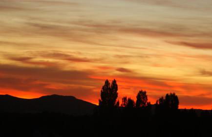Casas Rurales Cortijo Bellavista - Foto 19