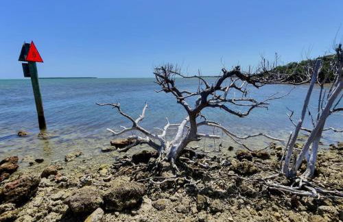 Sunshine Paradise Key Largo Ocean Pointe 4402 - Foto 51