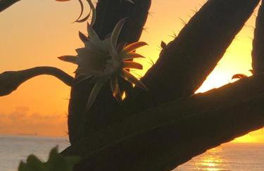 Flat Na Praia da Costa - Foto 25