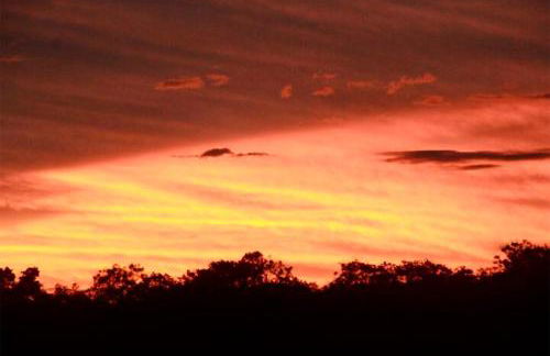 BioChalé Buena Vista - Foto 13