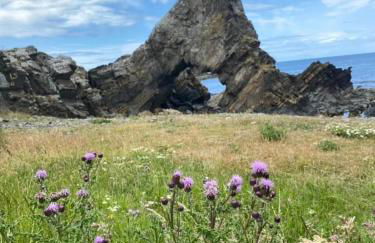 Moray View, Macduff, Aberdeenshire. - Foto 75