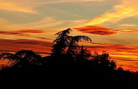 LA GARDE ADHEMAR, L'escalier Médiéval - Foto 74