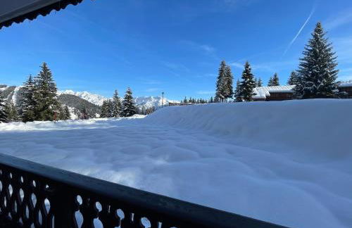 La forêt des Rennes - Foto 13