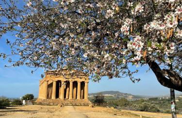 Sikelia Suite Rooftop - Foto 26