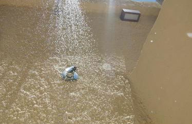 Villa Su Giudeu - Foto 13