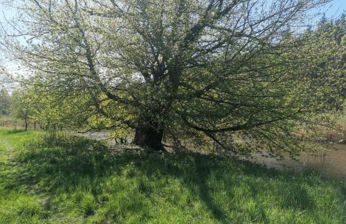 Dom za wydmą - Foto 36