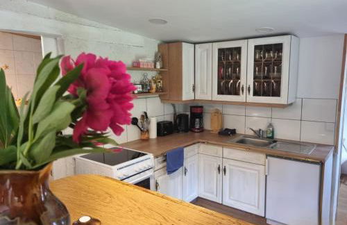 Alpakatherapie und Ferienhof Charlottenthal - Foto 59