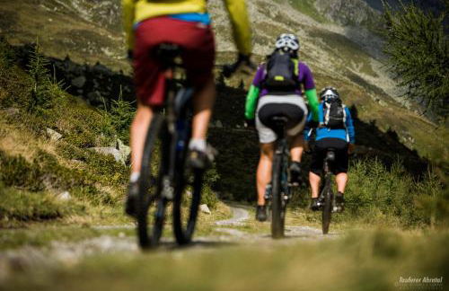 Naturresidenz Mair Zu Hof - Photo 64