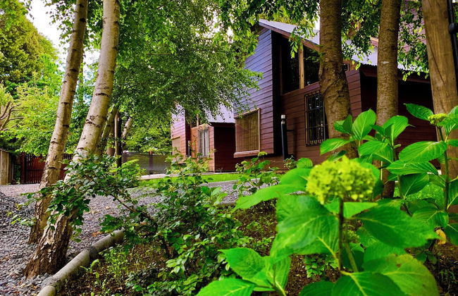 Cabañas El Nativo - Licán Ray - Foto 14