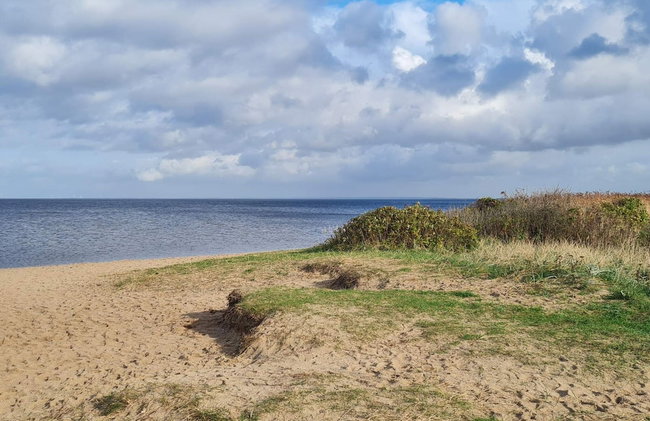 6 Person Holiday Home in Hemmet - Photo 37