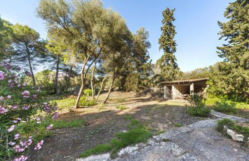 Sa Rota de l'Avi - Can Colombas - Photo 27