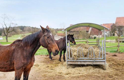 Ferienhaus Annodazumol - Foto 9