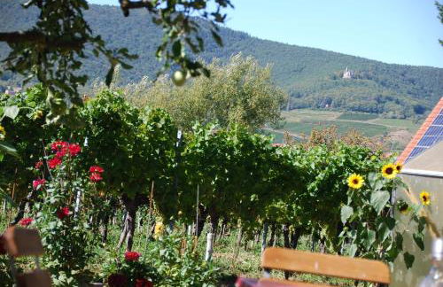 Gartenhaus am Weinberg - Foto 38