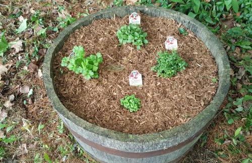 Woodland Hideaway - Foto 73