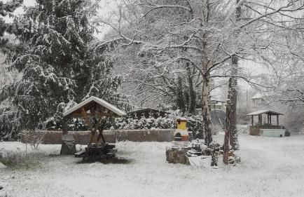 Ferienwohnung Sagenwelt - Foto 29