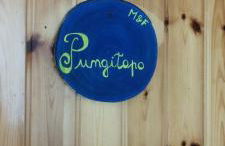 Pungitopo - Foto 9