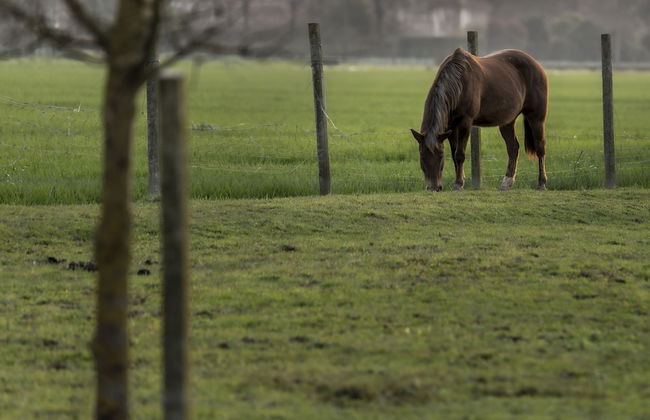Agriturismo Al Botteniga - Foto 10
