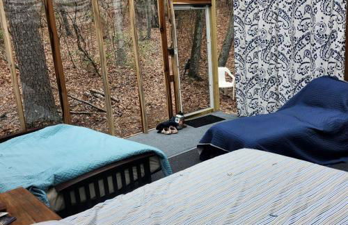 Secluded Forest Cabin with Clear Roof for Stargazing near Watts Bar Lake – Grandview, TN - Foto 30