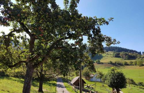 Ferienwohnungen Maierhof Oberried - Foto 68