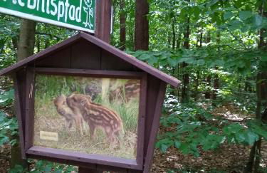 Zwei Seen Ferienhaus - Foto 13