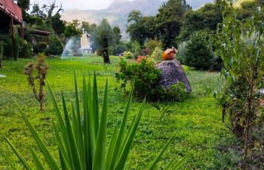 Quinta da Casa Matilde - NATURE HOUSE - Foto 27