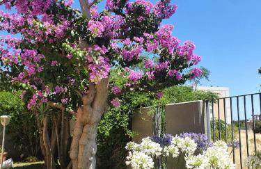 La Bouganville - Foto 1