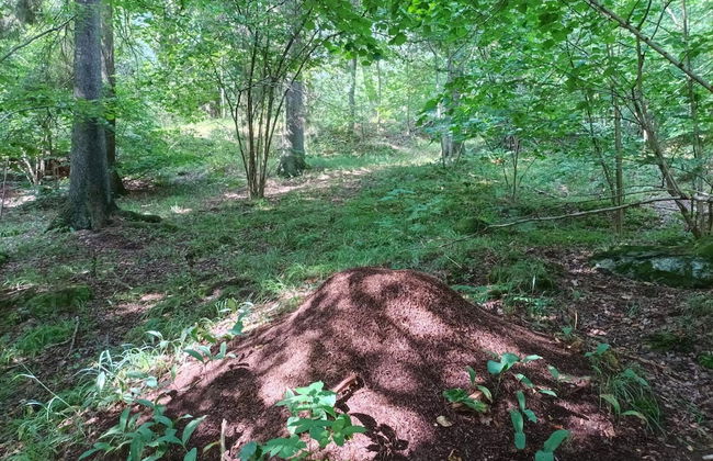 4 Person Holiday Home in Huddinge-by Traum - Photo 20