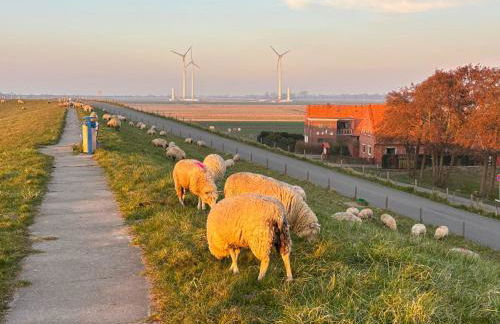 Dünenzauber - Neues Apartment mit Sauna in Strandnähe - Foto 44