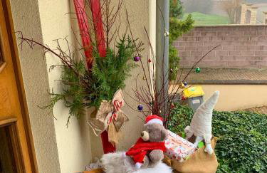 HAVRE DE PAIX - Maison 3 étoiles - Piscine Privée - Europapark - Foto 7