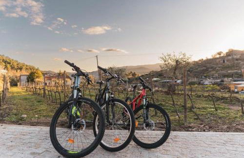 Quinta da Moita Agroturismo - Foto 31