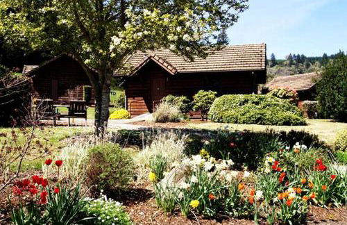 Secluded Cabin Ideal for a Romantic Getaway in the Umpqua River Valley of Oregon - Foto 7