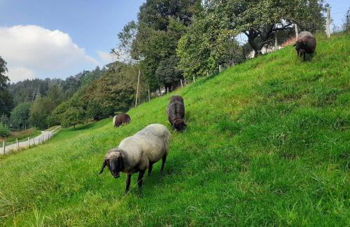 Ferienwohnung Andre - Foto 20