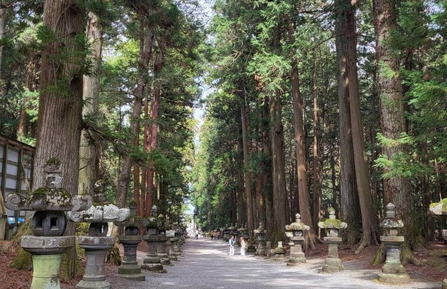 Tour privato in auto al Monte Fuji da Tokyo - Foto 15