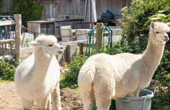 Harbour Ranch Hut - Rustic Countryside Escape - Photo 6