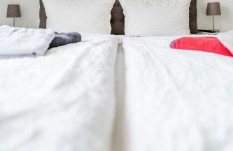 Claras Gartenblick - Foto 57