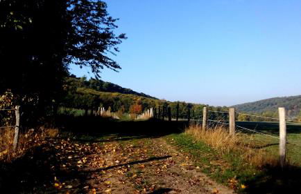 Ferienwohnung Das Fuchsrevier - Foto 22