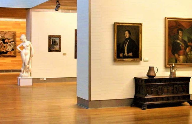 Visita guiada pelo Museu de Belas Artes - Foto 1