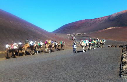Apartamento Paz - Foto 19