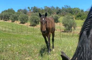 Dimora Filippo - Foto 26