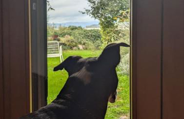 Chalet sul Trasimeno - Photo 4