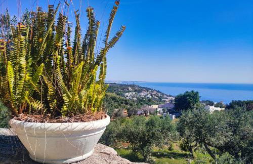 Le Pajare di Marina Serra di Casa Camilla Journey - Foto 74