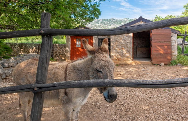 Villa Stone House Magarac Zadarvillas - Foto 5