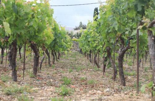 Villa Stefania Dream - Photo 47