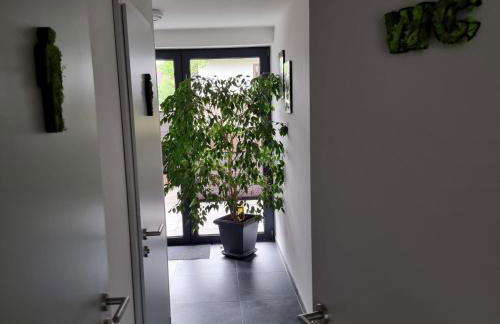 Pfalztraum Fewo's - Foto 11