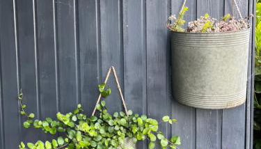 Ferienwohnung Weitblick bei Geyer-Saal an der Donau - Foto 5