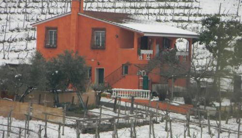 Poggio agli Ulivi vicolo di Colle Reti 22 Frascati - Foto 5